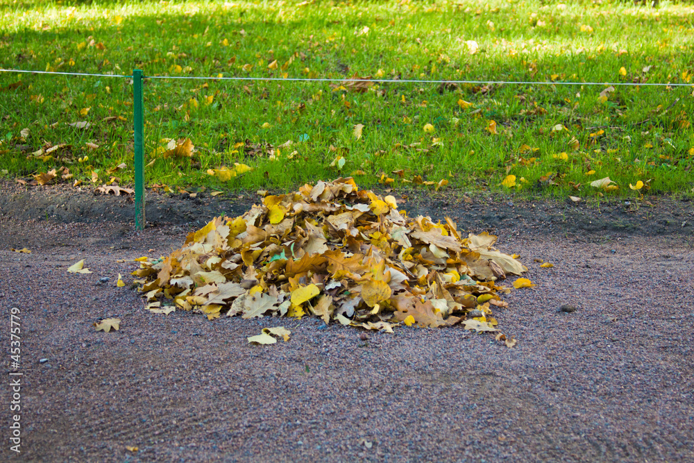 heap of leaves