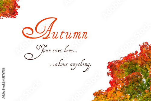 Autumn greeting card on col...
