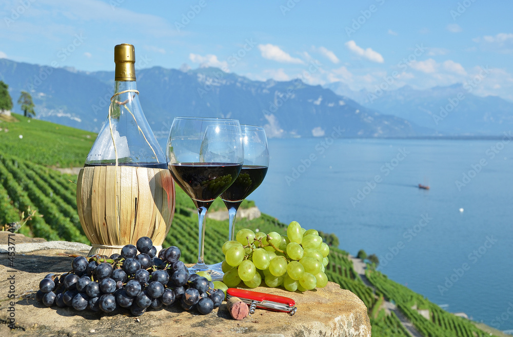 Red wine and grapes. Lavaux region, Switzerland