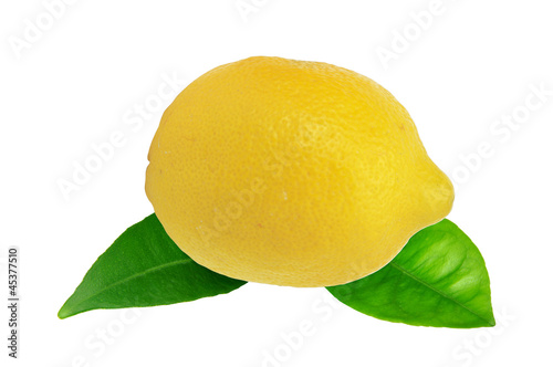 Fresh lemon on green leaves isolated on white