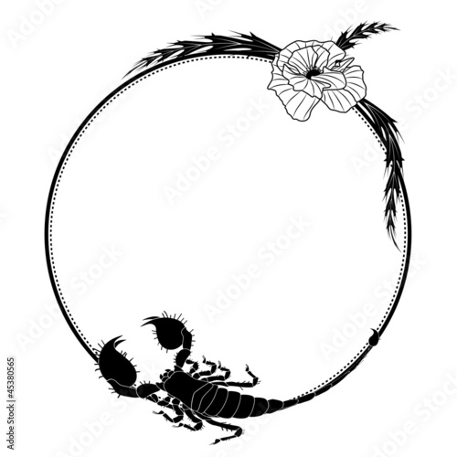poppy  and scorpion