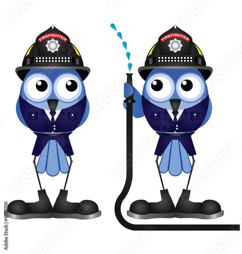 Firefighters with low pressure hose