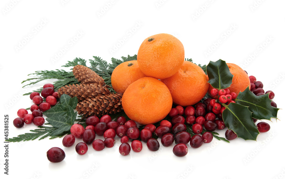 Mandarin and Cranberry Fruit Mandarin and Cranberry Fruit