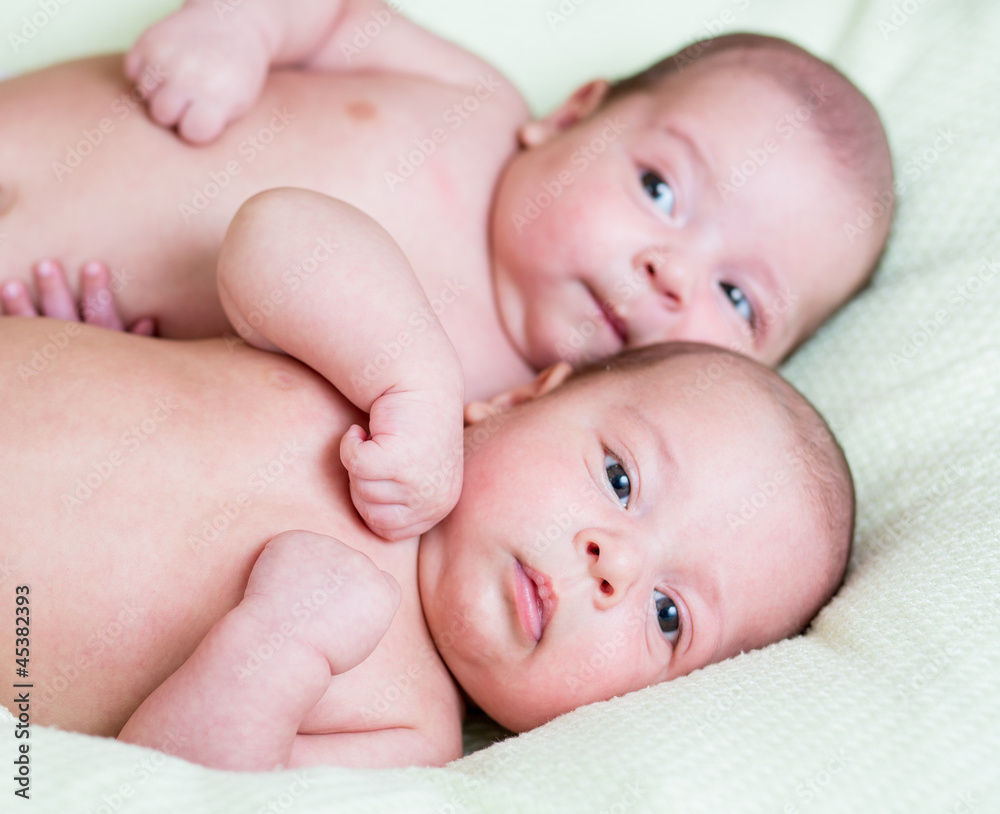 funny newborn baby twins lying one next other funny newborn baby twins lying one next other