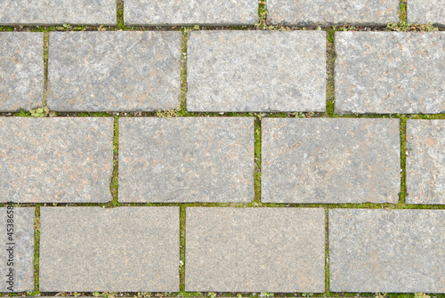 Wallpaper Mural Серая тротуарная плитка. Torontodigital.ca