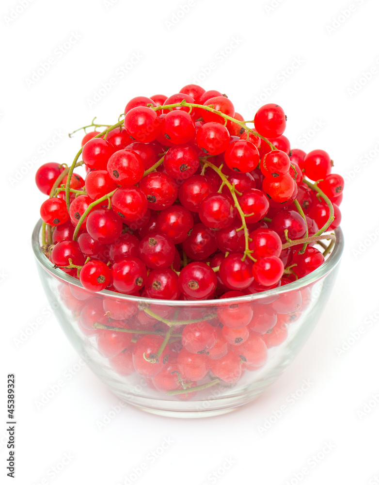 red currant in a bowl red currant in a bowl