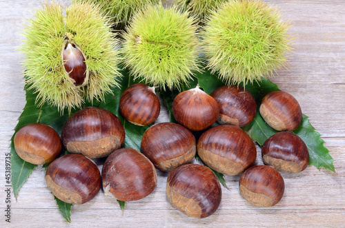 Castagne photo