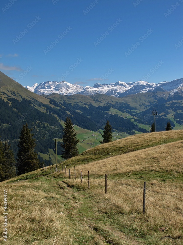 View From The Wispile, Bernese Oberland View From The Wispile, Bernese Oberland