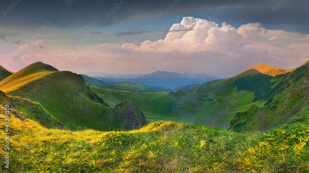 Beautiful summer landscape in the mountains