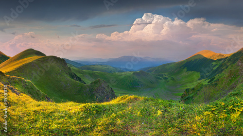 Beautiful summer landscape in the mountains © Andrew Mayovskyy