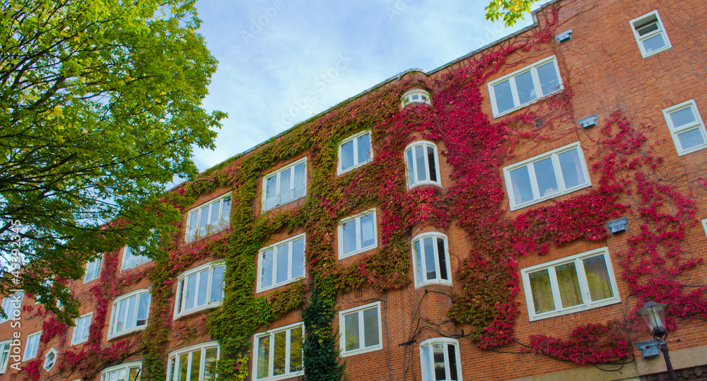 Naklejka premium autumn house 5