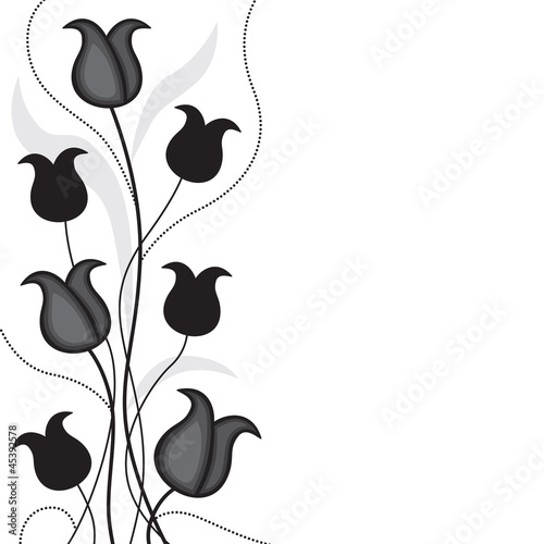 Fototapeta Naklejka Na Ścianę i Meble -  Black tulips