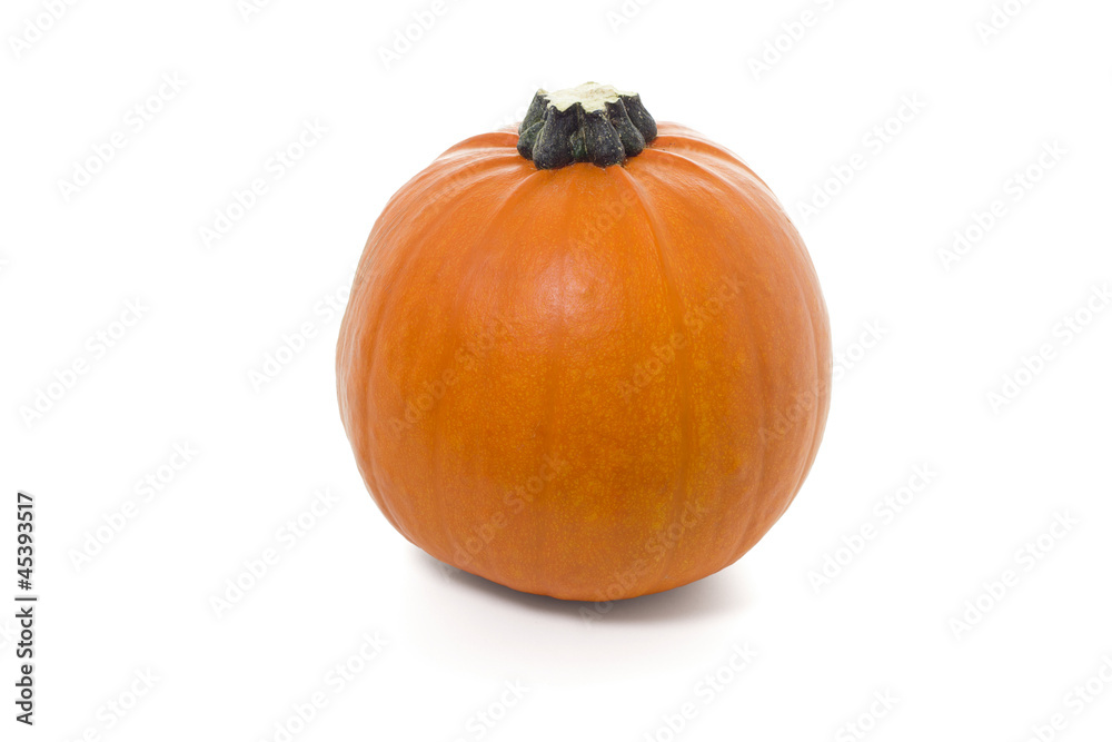 Pumpkin Pumpkin