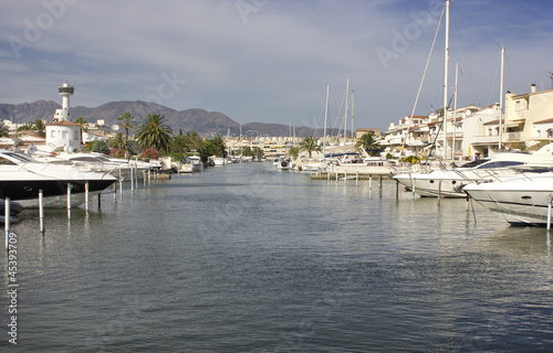 Luxurious Yachts in a harbor photo