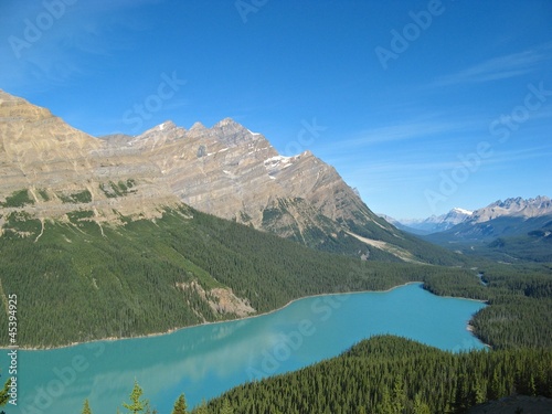 View on turquoise Peyto Lake