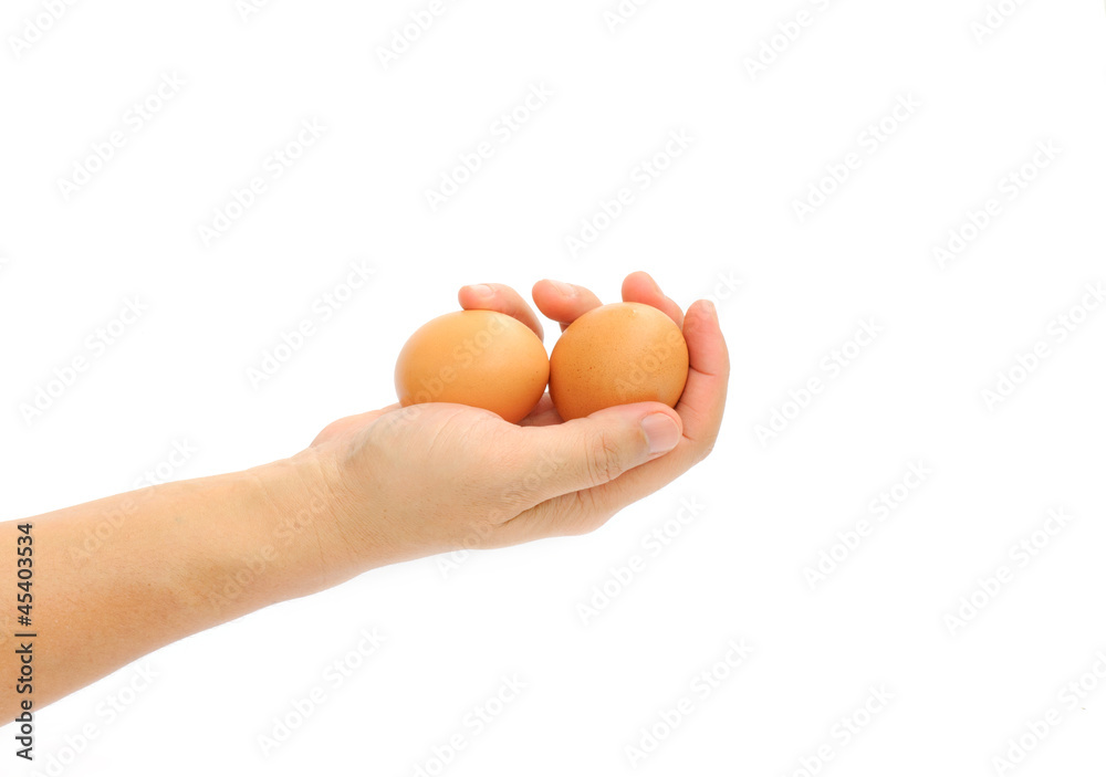 Hand With Egg Isolated On White Background