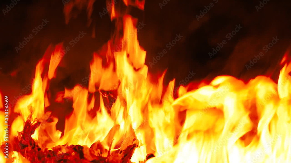 Paper burning in fire Paper burning in fire