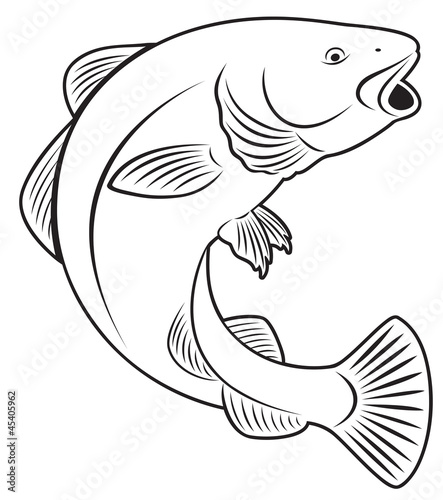 cod