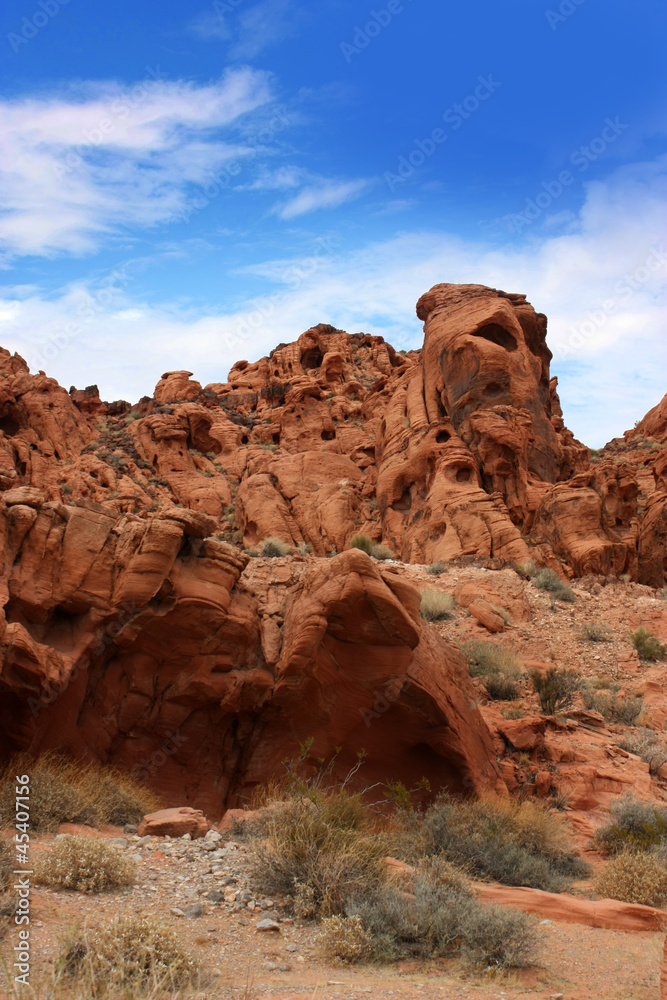 Nevada - Petroglyph Canyon 