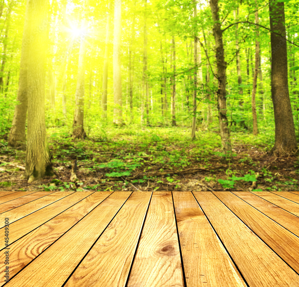 Forest