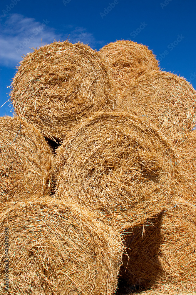 Rround bales of straw in a stack Rround bales of straw in a stack
