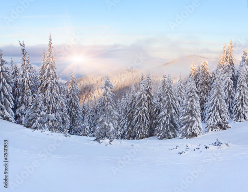 Beautiful winter landscape in the mountains. Sunrise