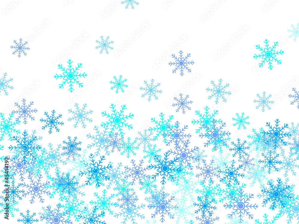 雪の結晶 雪の結晶