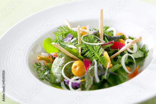 Frischer knackiger Salat