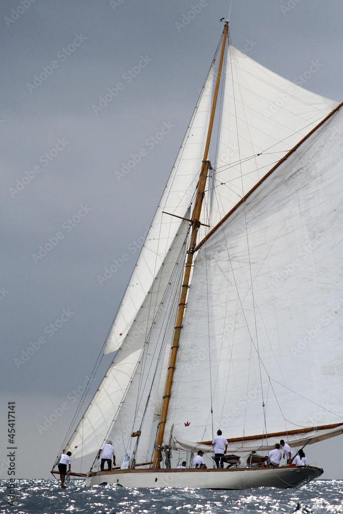 Fototapeta premium voile