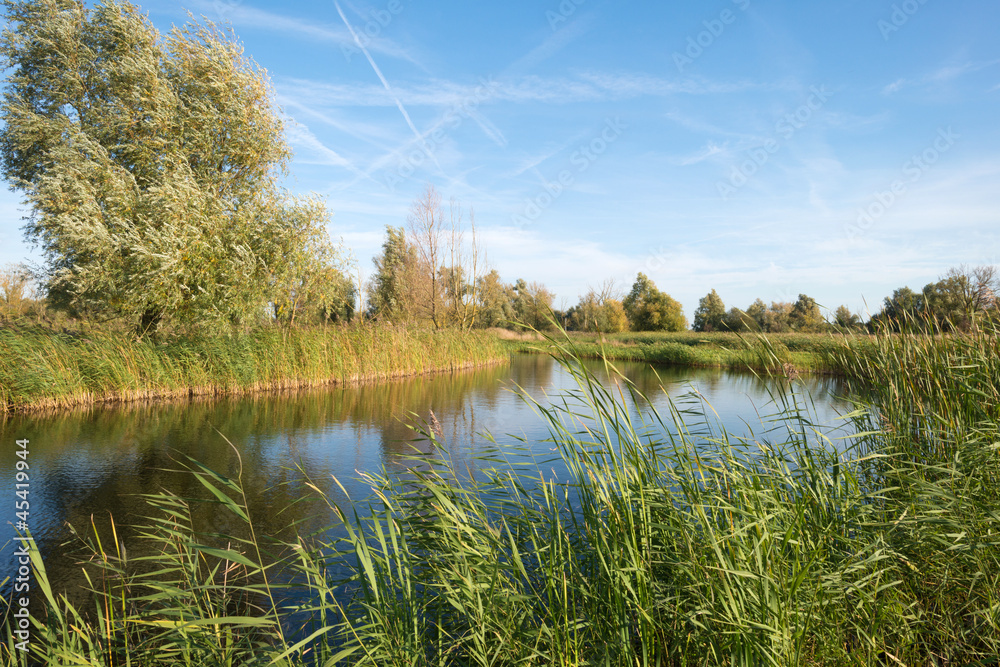 Fototapeta premium Sunlight over a lake in nature