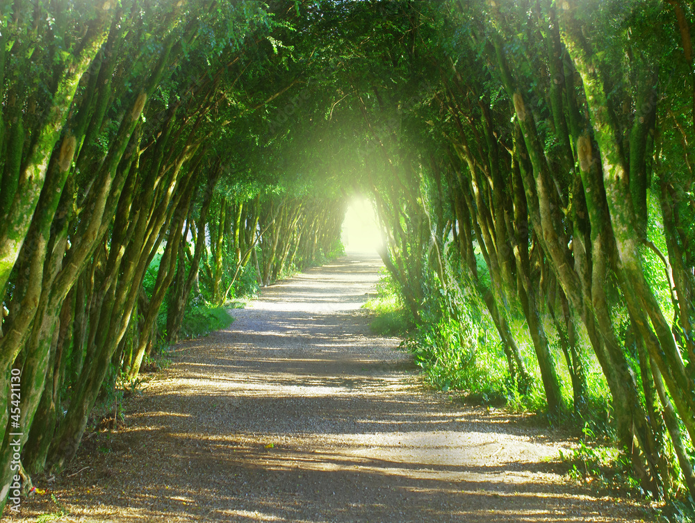 Fototapeta premium Light at the end of the tunnel