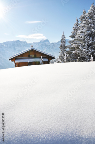 Swiss Alps © HappyAlex