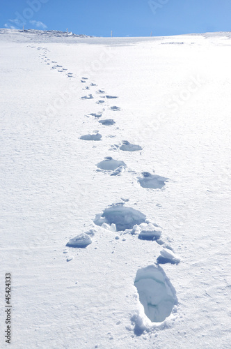 Obraz na płótnie Footsteps on the snow