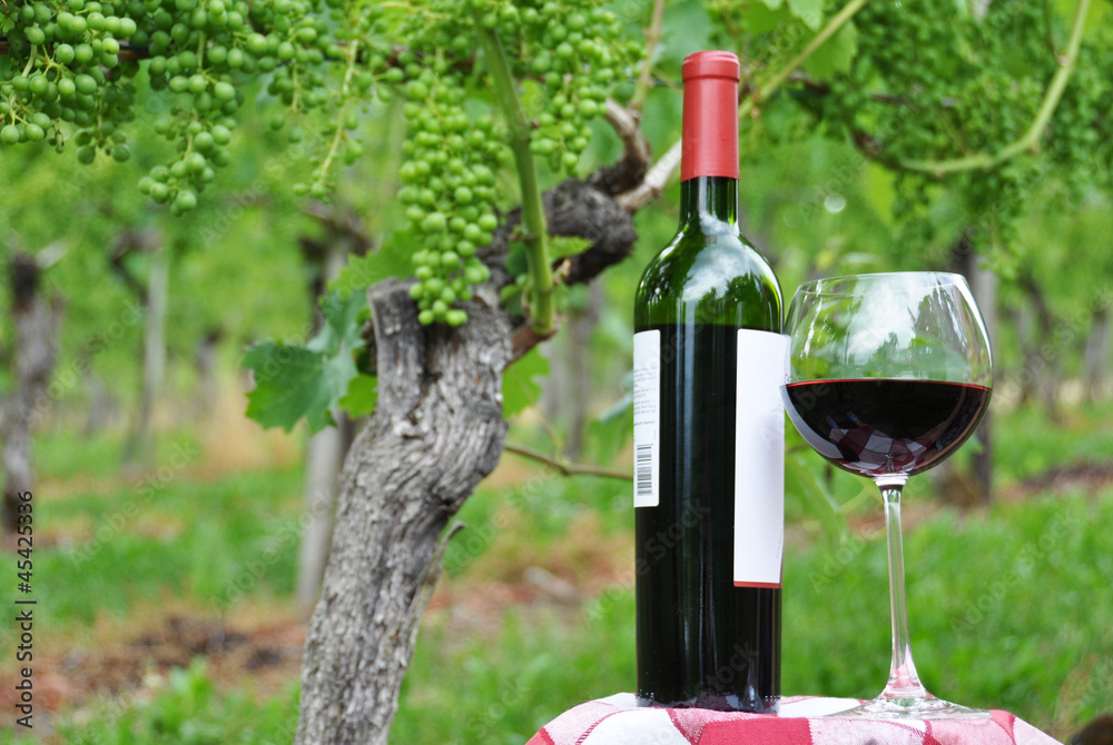 Red wine against vineyards