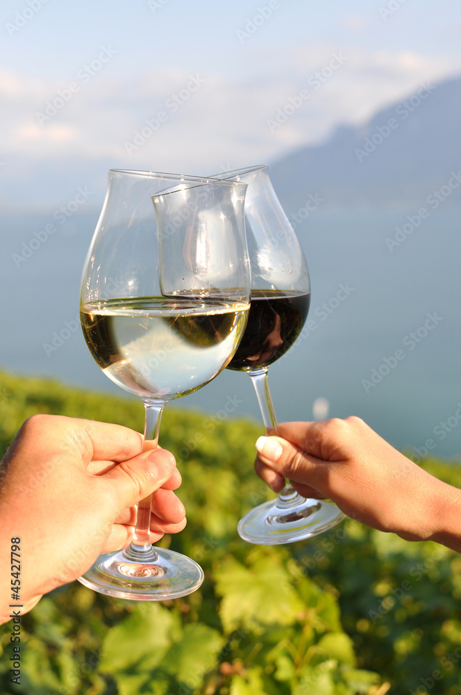 Two hands holding wineglases against vineyards in Lavaux region,