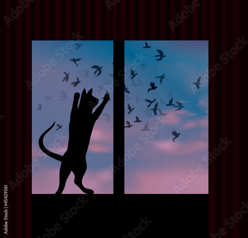 Cat catches a bird behind the window / View from the window