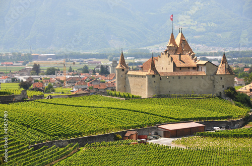 Chateau d'Aigle, Switzerland