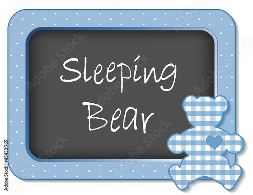 Sleeping Bear, nursery frame board, baby teddy pastel blue check