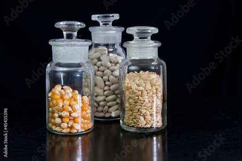 Food Science - seeds