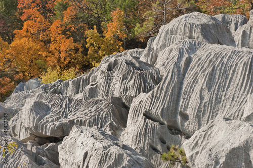 Carso d'autunno