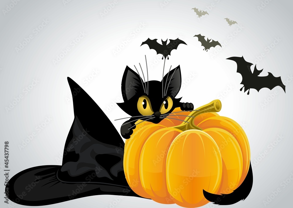 A black cat with pumpkin A black cat with pumpkin