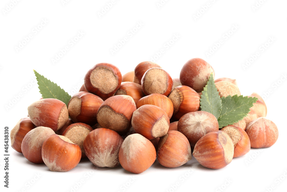 tasty hazelnuts with leaves, isolated on white tasty hazelnuts with leaves, isolated on white