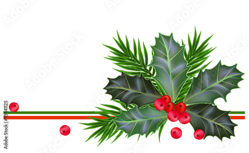 Christmas and New Year card with holly leaves and berries