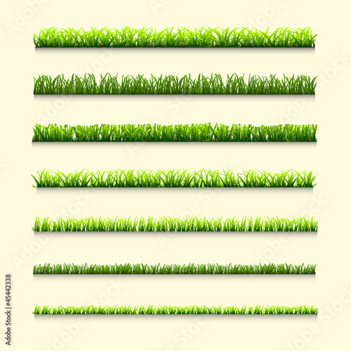 Seven different types of green grass for design