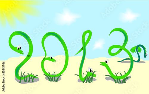 2013 Новый год змеи.
