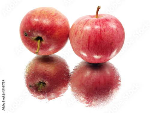 red organic apple