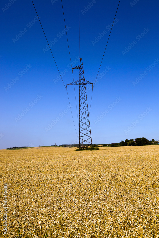 field with electric columns field with electric columns