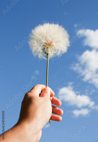 dandelion in his hand against the blue sky