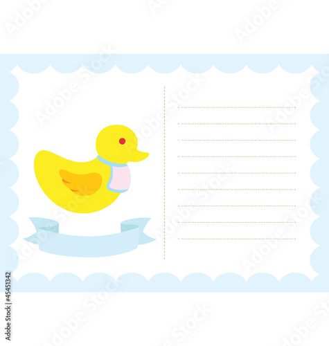 Little Chick New Born