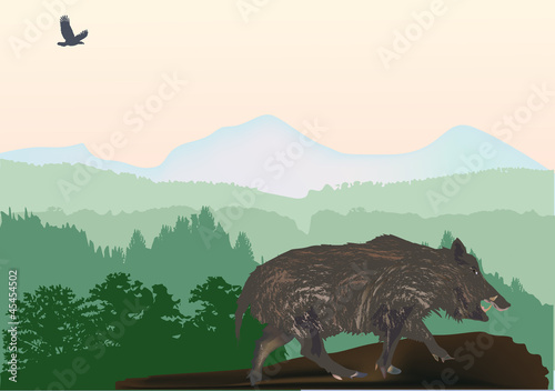 wild boar in forest illustration